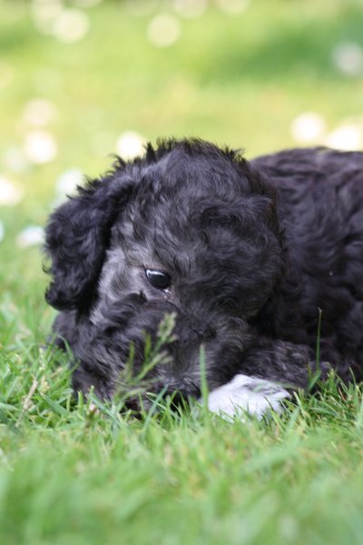 Arc-en-ciel Antares 2009-06-30 (31).JPG